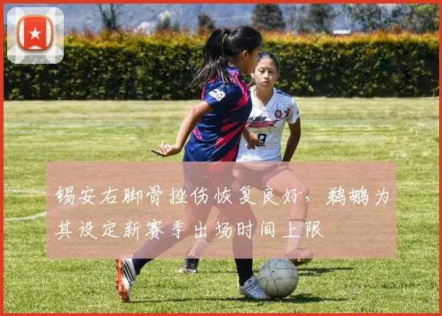 锡安右脚骨挫伤恢复良好，鹈鹕为其设定新赛季出场时间上限