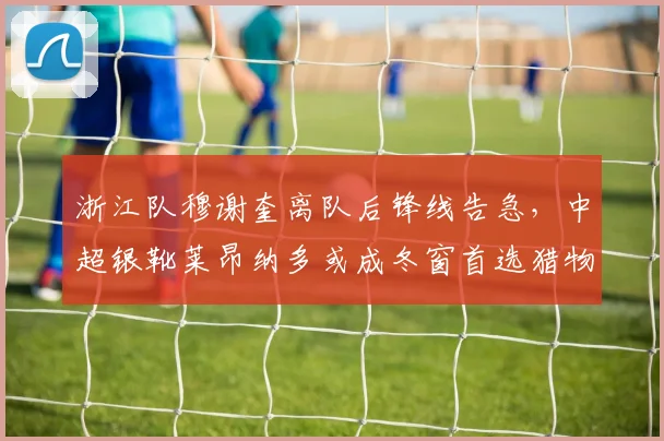 浙江队穆谢奎离队后锋线告急，中超银靴莱昂纳多或成冬窗首选猎物